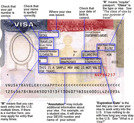 How to read a Visa